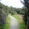 Dsc00133